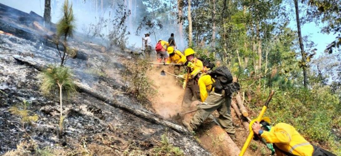 Veracruz registra 70 incendios forestales en la temporada