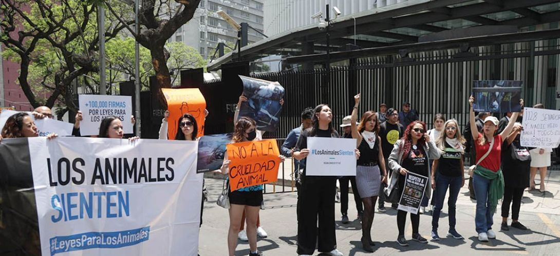 Activistas protestan contra maltrato animal afuera del Senado