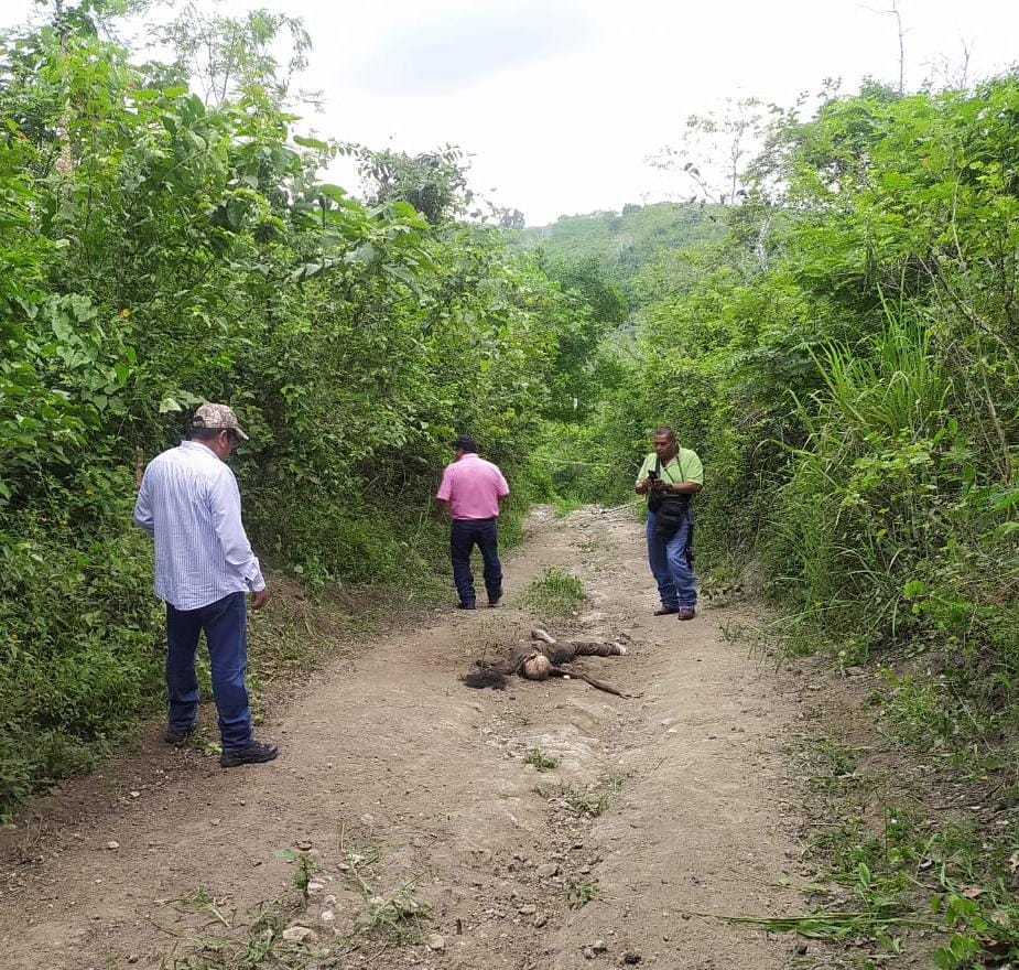 Hallan cuerpo putrefacto de desaparecida