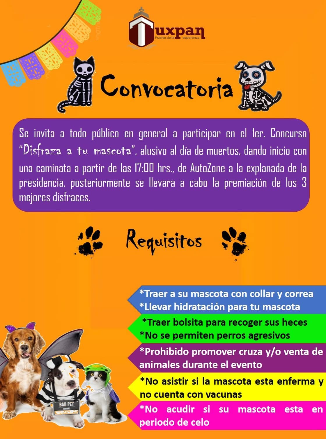 Quieres disfrazar a tu mascota2