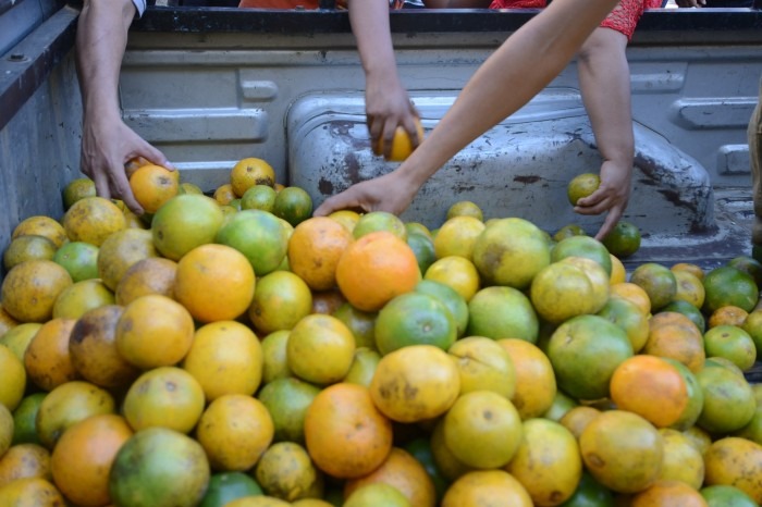 Veracruz destinará