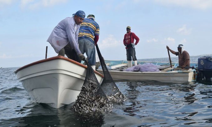 Le pagan a Pescadores2