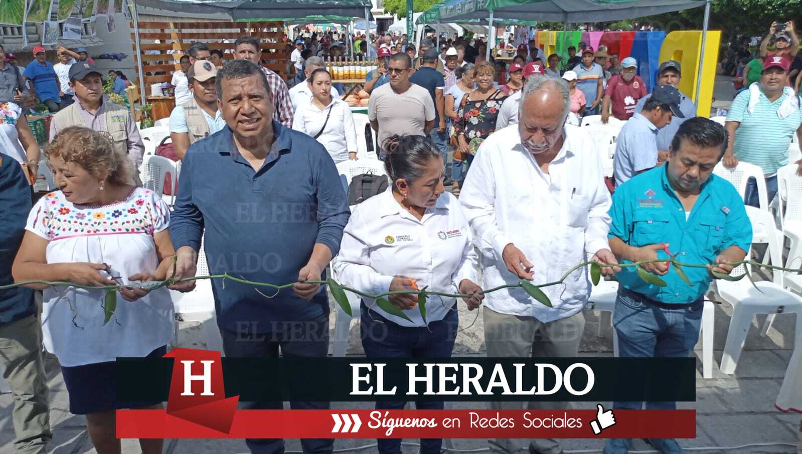 Productores solo reciben el 15 o 20 por ciento de ganancia por sus productos