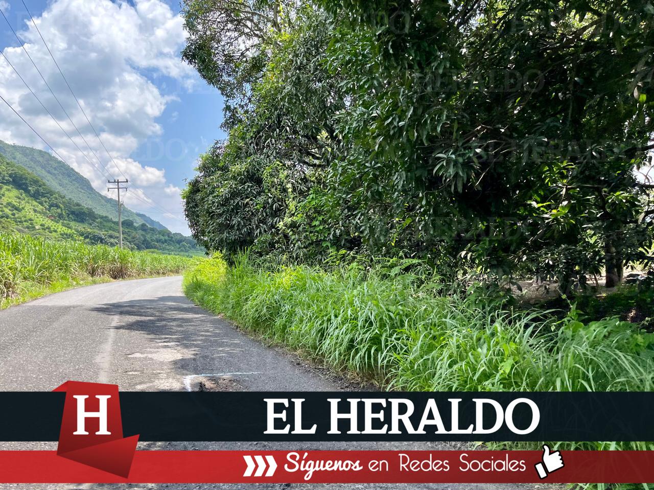 Marcan baches sobre carretera Tuzamapan 2