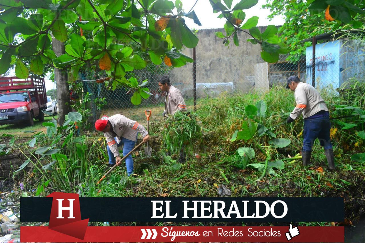 Siguen familias construyendo sus viviendas en canales a cierto abierto de Coatzacoalcos 3