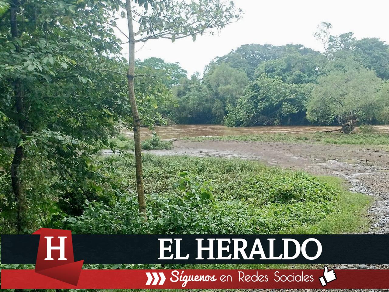 50 mil hectáreas de caña afectadas por lluvias en Hueyapan 2