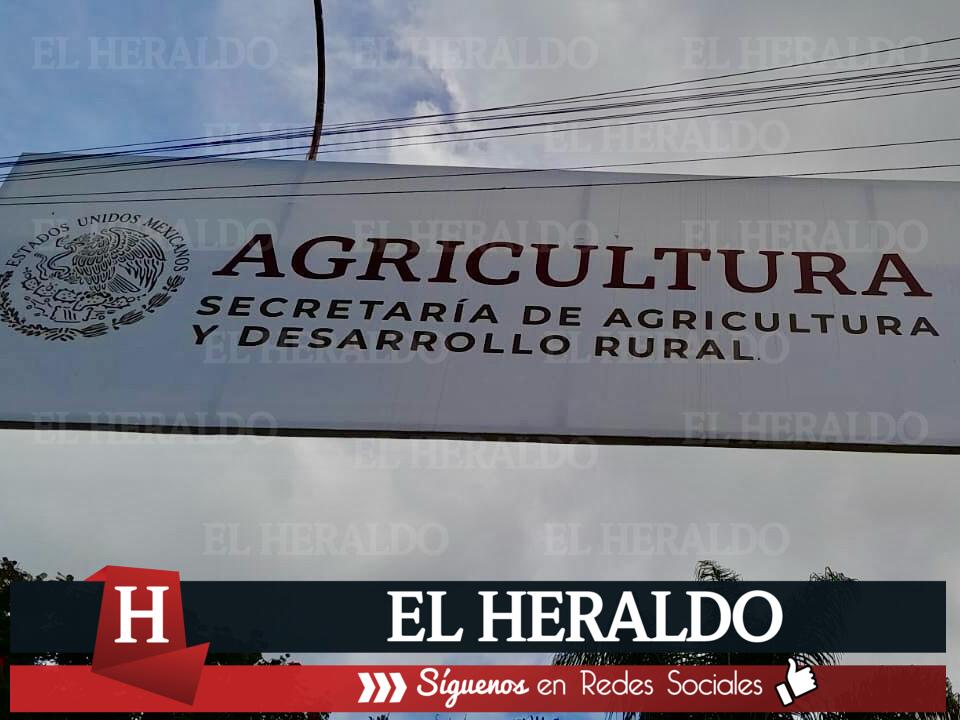 Alistan plantones en Secretaría de Agricultura 2