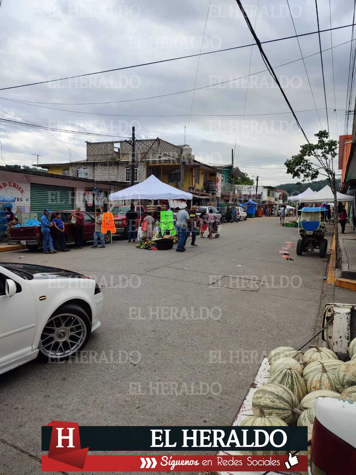 Productores del campo esperan buena derrama económica 3
