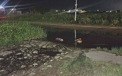 Sociedad sin conciencia 11c